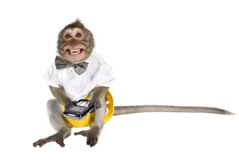 Foto op Plexiglas Aap Een aap met een mobiele telefoon, die de sleutel afsneed en zijn tanden liet zien
