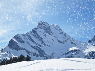 Obraz premium Alpine view