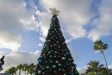 Christmas tree in Orlando, Florida