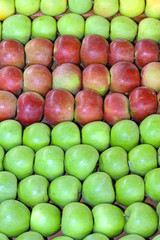 Apples