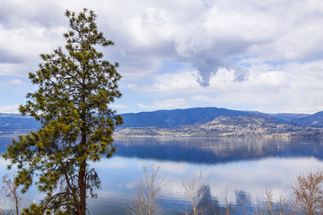 Landscape of Lakeshore in Spring