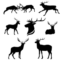 Deer set vector