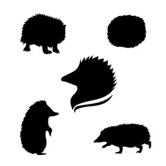 Hedgehog set vector © airindizain