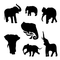 Elephant set vector