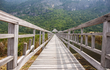Wood bridge in Khao Sam Roi Yod National Park, Thailand.