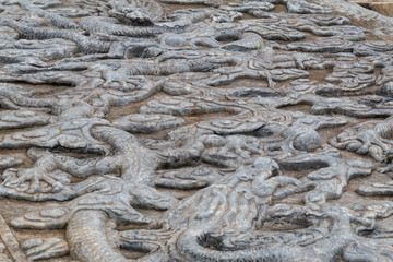 Bas-reliefs with Dragons  in Forbidden Palace on the rainy day, Beijing,  China