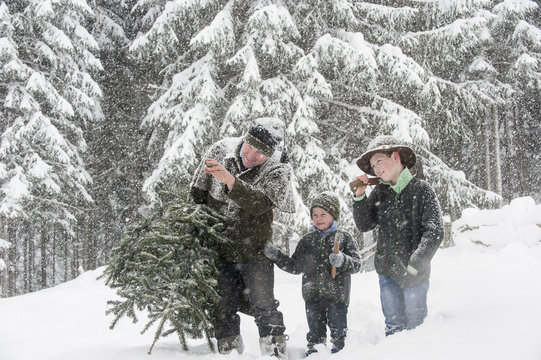 Austria, Altenmarkt-Zauchensee, father with two sons carrying Christmas tree in winter landscape