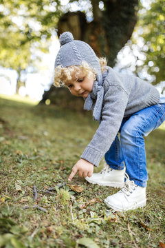 Little boy pointing on sweet chestnut lying on a meadow