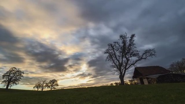 Sonnenuntergan auf Waldlichtung im Zeitraffer
