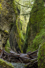 Oneonta Gorge in Multnomah Falls Area