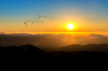 Sunrise with beautiful Lens Flare and silhouettes of birds at De