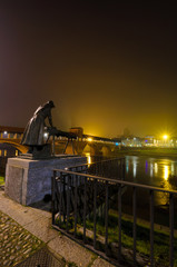 Pavia il Ponte Coperto