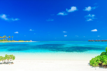 tropical beach in Maldives