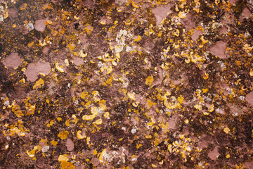 graye wall texture or background