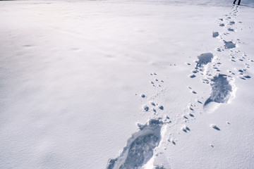 Naklejka premium Footsteps on snow An image with a trail of footprints in a thick layer of snow.