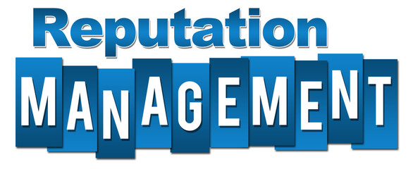 Reputation Management Professional Blue Stripes 