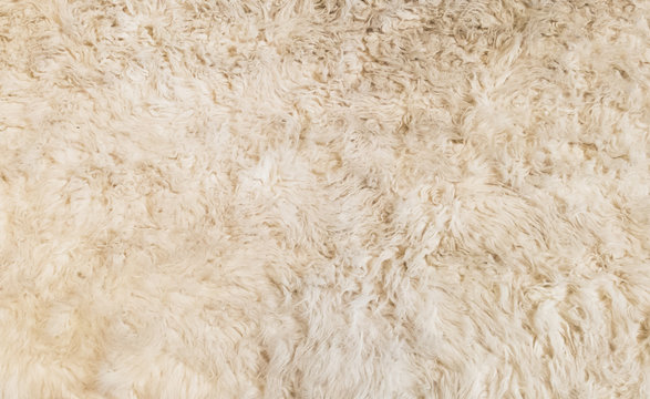 Soft White Fur Background Texture for Furniture Material