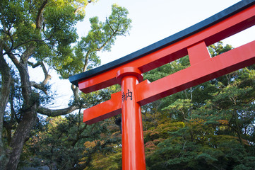 Fototapeta na wymiar Traditional Japanese gate torii and natural view at Fushimi Inar