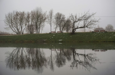 trees silhouette in foggy with water reflection  landscape 