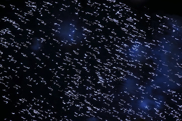 Lights in Motion