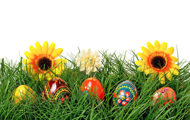 Easter eggs are colored in green grass