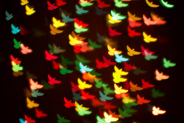 Blurring lights bokeh background of colorful birds