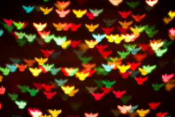 Fototapeta na wymiar Blurring lights bokeh background of colorful birds