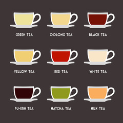 Tea Types Flat Design Infographics. Vector tea drinks guide