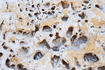 Qatar, Ras Abrouq, the large desertic area with the picturesque limestone, detail