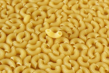 Italian Macaroni Pasta