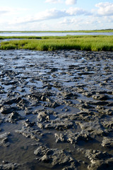 Wattenmeer bei Husum - Nordsee 