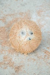 Fototapeta na wymiar dry coconut shell on cement floor