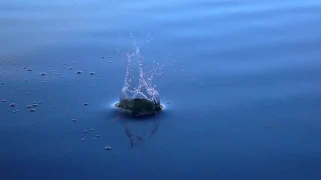 Slow motion of boulder thrown into the calm blue water. Great moving background with meditative effect. Relaxing view of the calm water. Full HD footage 1920x1080.
