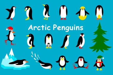 Set of cute Christmas character - penguin. Vector illustration 