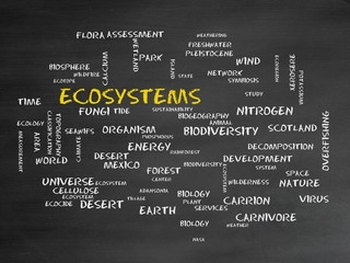 Ecosystems