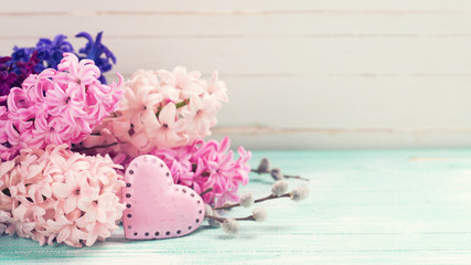 Background with fresh flowers hyacinths and decorative  pink hea