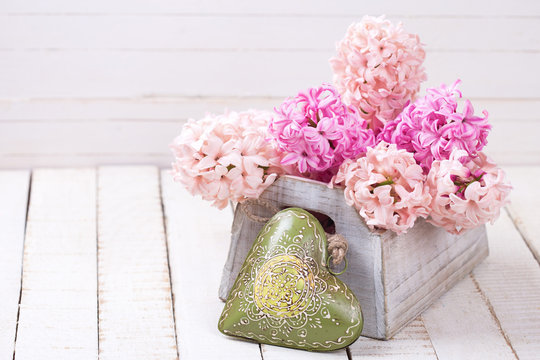 Pink hyacinths flowers  in box  and green decorative heart