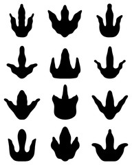Obraz premium Black different footprints of dinosaurs, vector