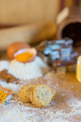 Traditional Christmas cookies from Alsace