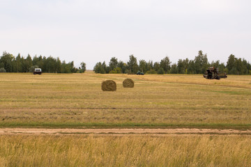 Yellow grass in the steppe and blue sky