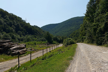 Fototapeta na wymiar Mountain roads in a beautiful summer forest