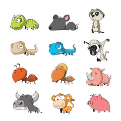 animal set 3