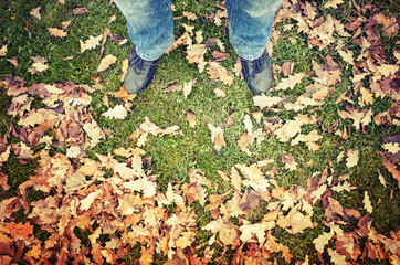 Obraz premium Male feet in blue jeans and black shoes on green grass