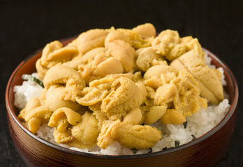ウニ丼