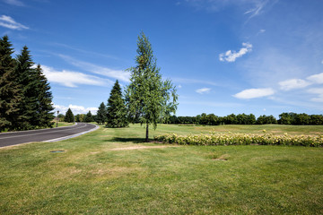 Park road
