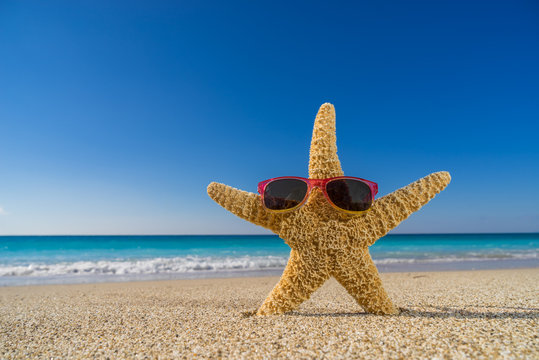 Starfish Sunglasses Images – Browse 42,438 Stock Photos, Vectors, and Video | Adobe Stock