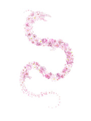 Japanese dragon shape, made of studio photographed cherry blossoms, isolated on absolute white.