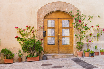 Fototapeta na wymiar Eingang Holz Tür Bogen Hausfront mit Pflanzen Dekoration