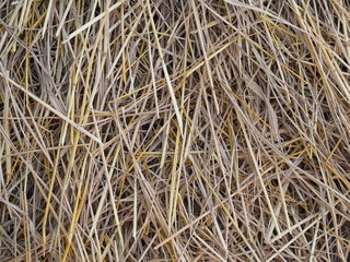 Stack of straw after harvesting in country area 