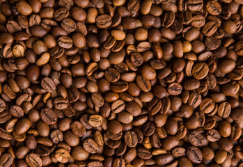 Obraz premium roasted coffee beans, can be used as a background
